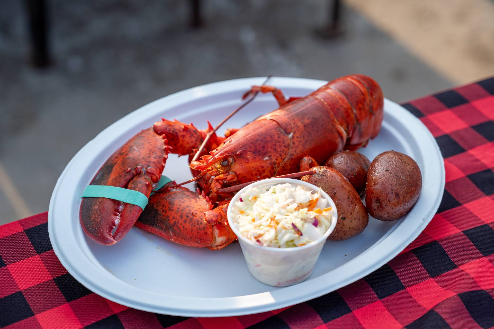 Lobster on a plate.