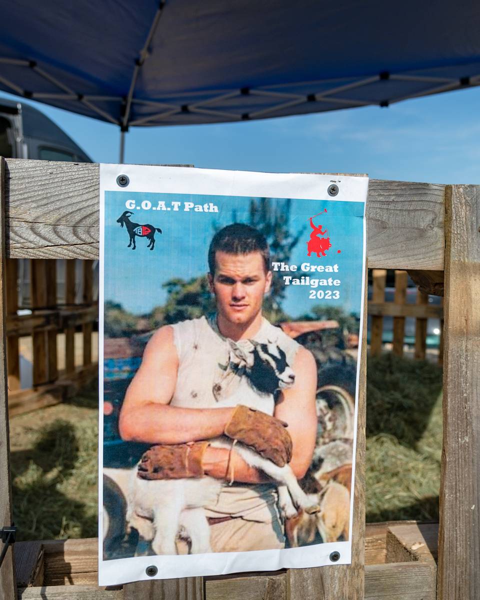 GOAT petting zoo at Sunday River's Great Tailgate.