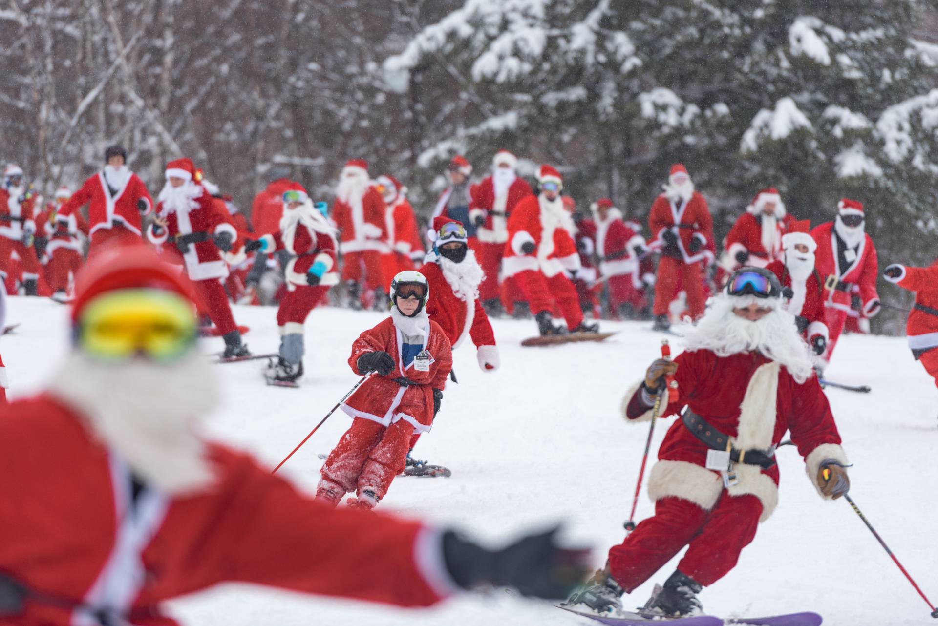 A pack of Santas traveling down the slopes at Sunday River Resort for Santa Sunday