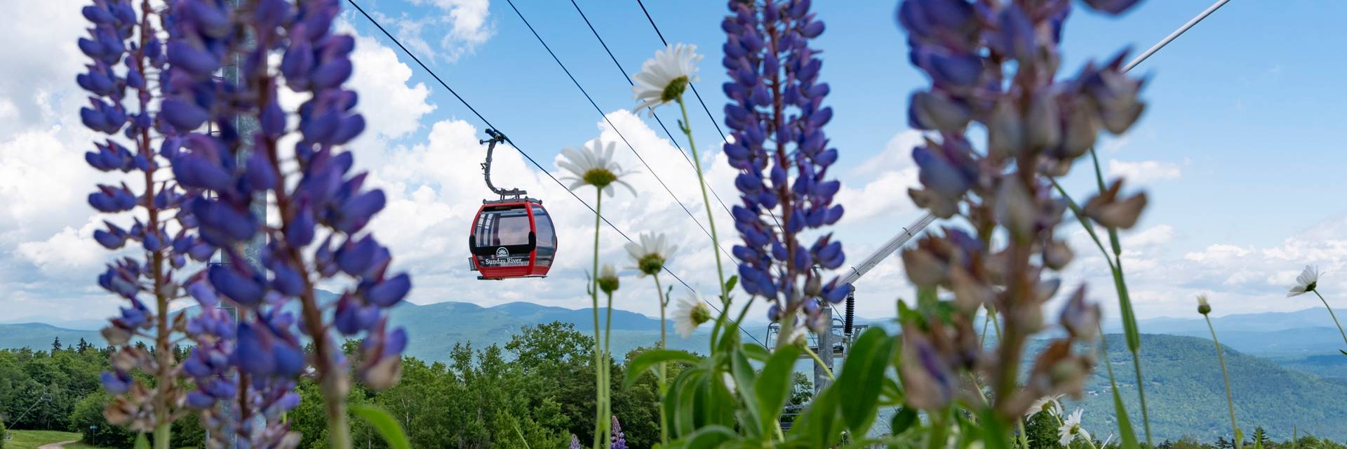 A chondola cabin with freshly bloomed flowers in the foreground.