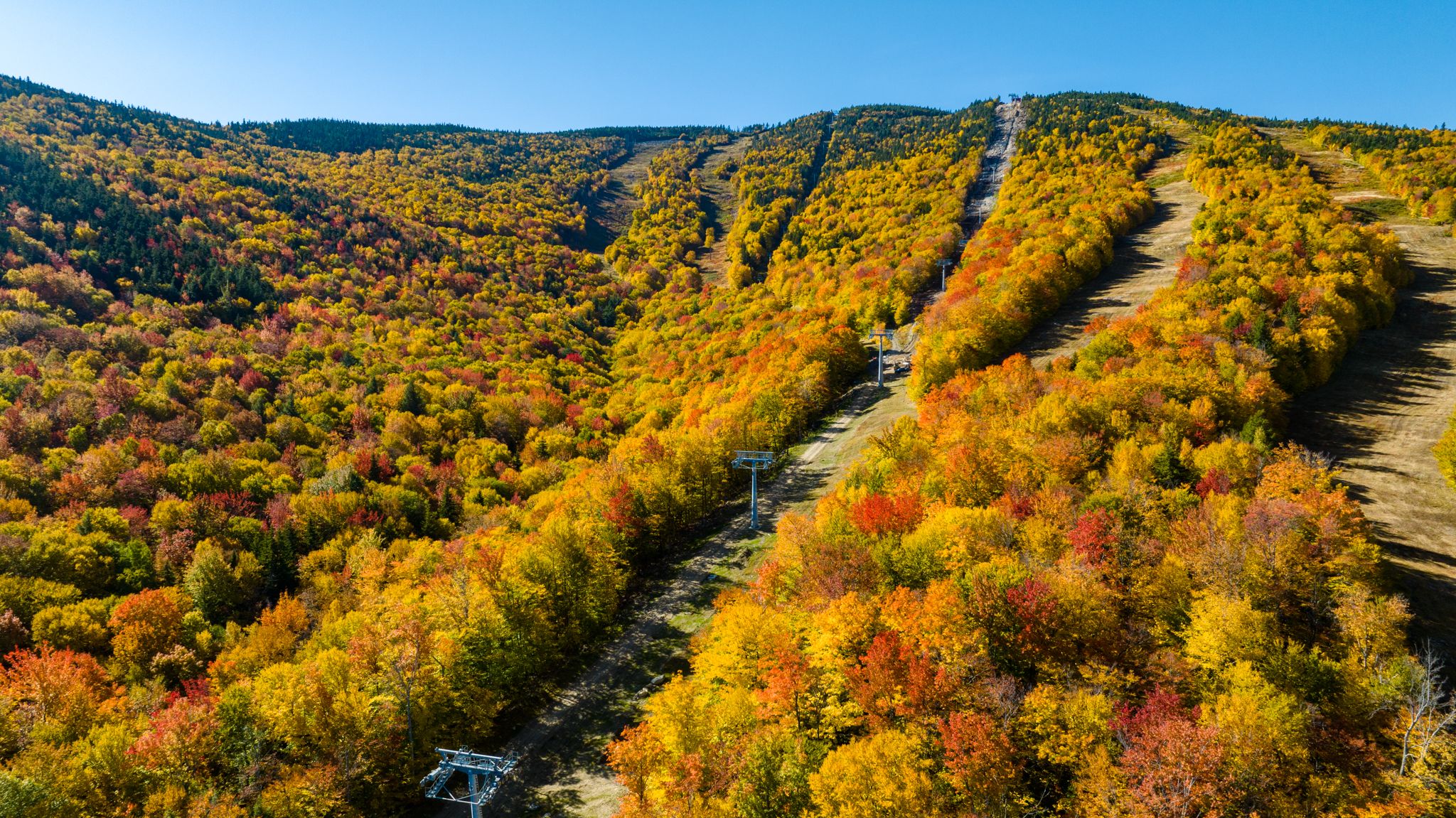 Fall trees on the peaks at Sunday River.