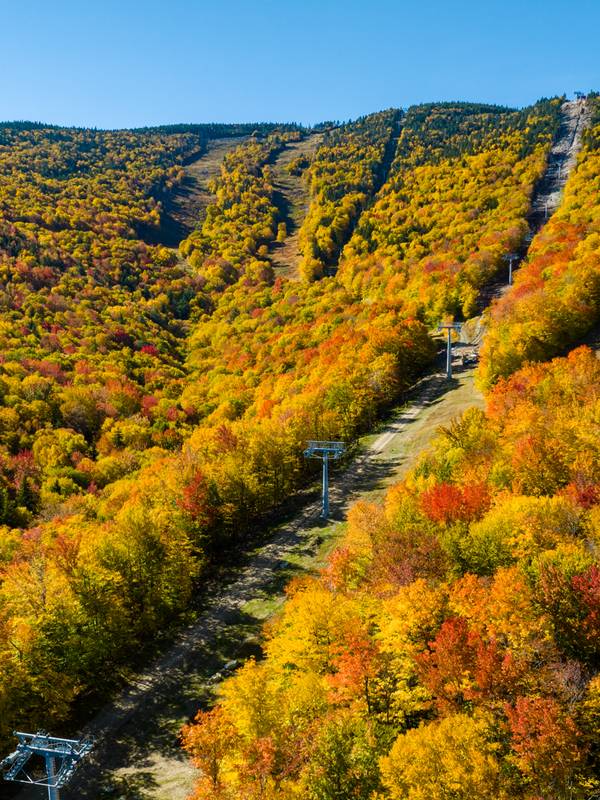 Fall trees on the peaks at Sunday River.
