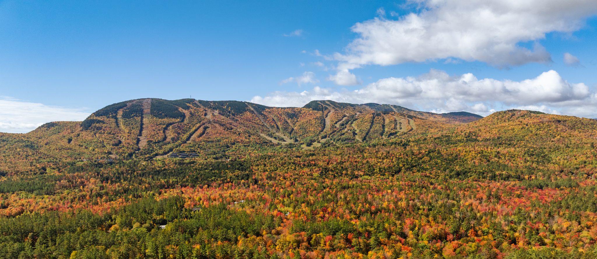 Fall foliage with the Chondola in the background.