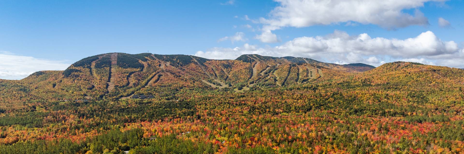 Fall foliage with the Chondola in the background.
