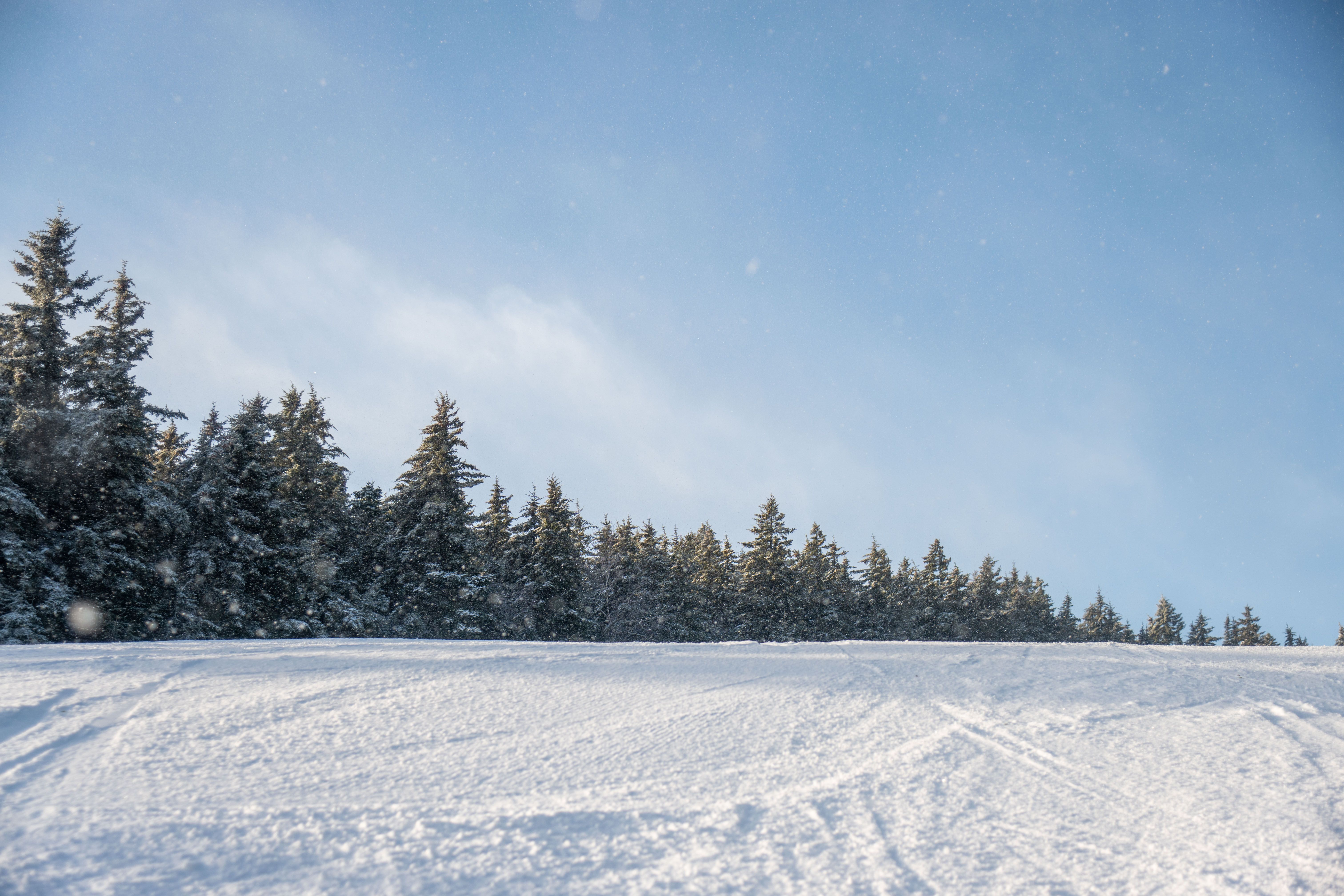 A trail at Sunday River in the winter with ski tracks and blue skies.