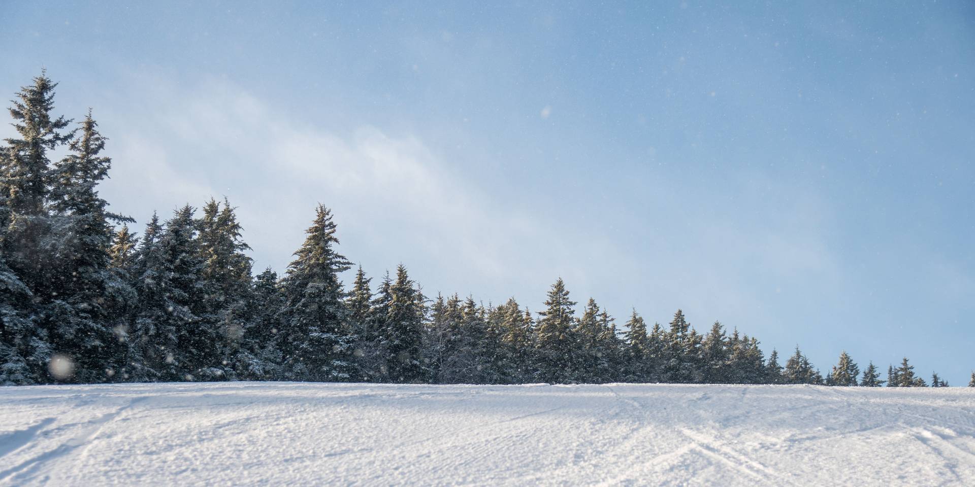 A trail at Sunday River in the winter with ski tracks and blue skies.
