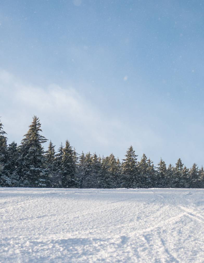A ski trail at Sunday River on a sunny day