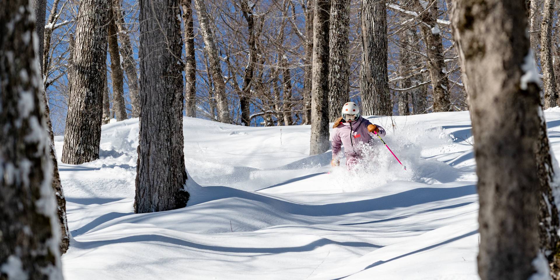 A skier in the trees at Sunday River, Maine