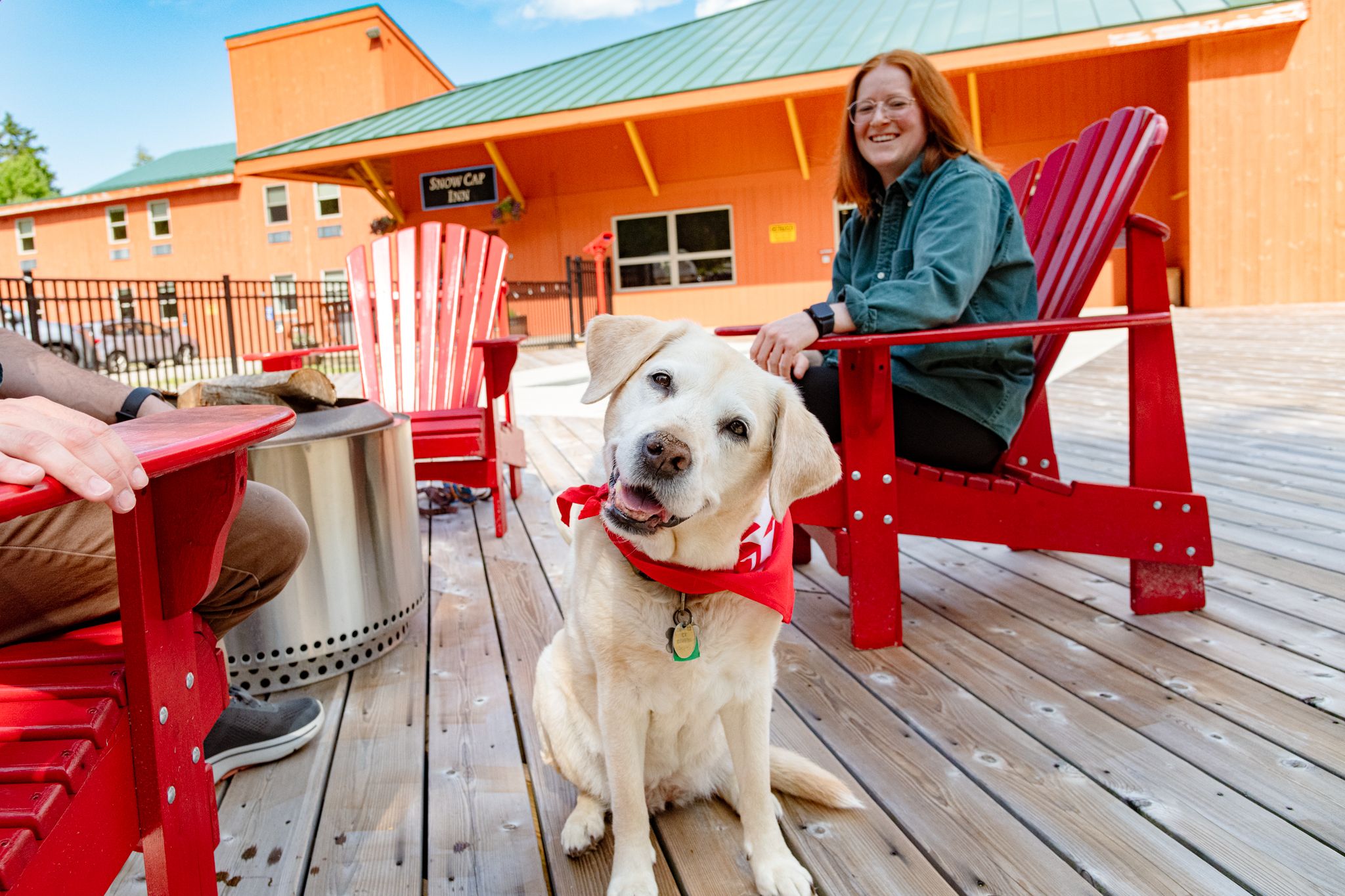 Dogs and owner sitting on the outside deck.