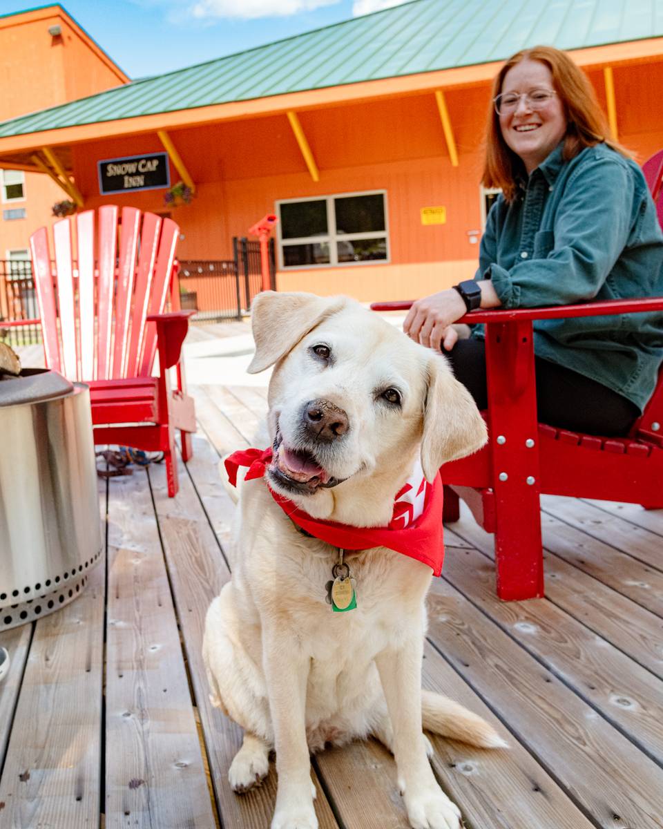 Dogs and owner sitting on the outside deck.