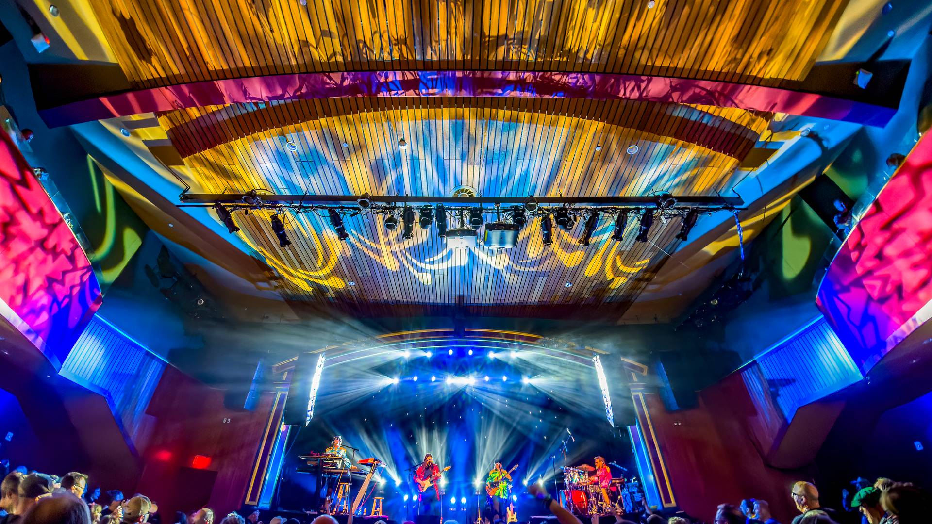 Pink Talking Fish playing live