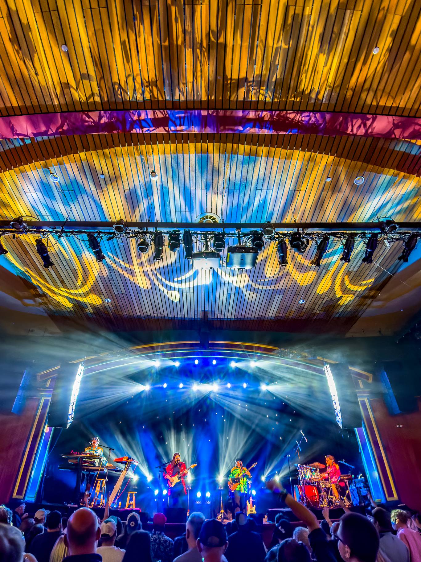 Pink Talking Fish playing live