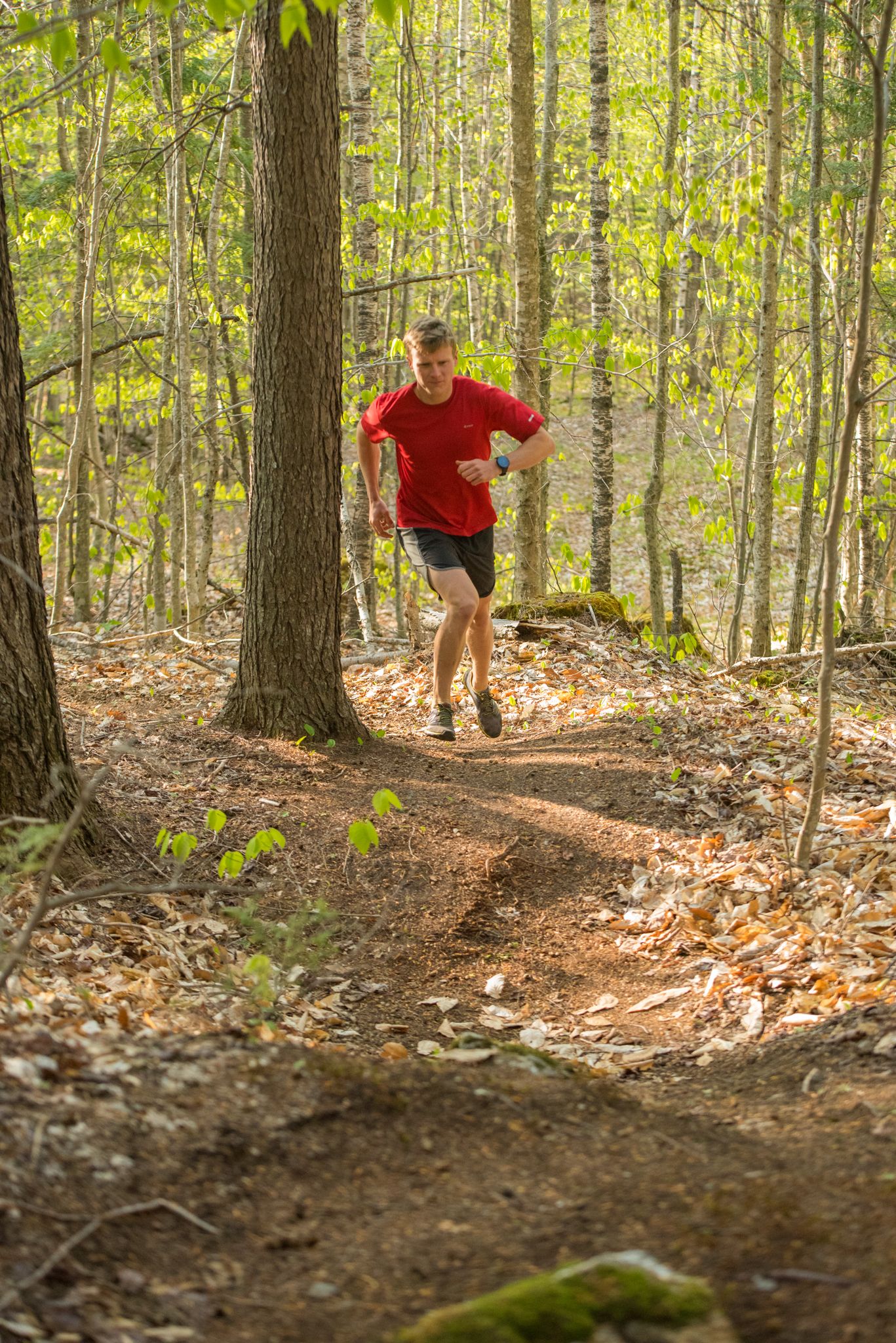 A hiker walking up a trail at Sunday River.