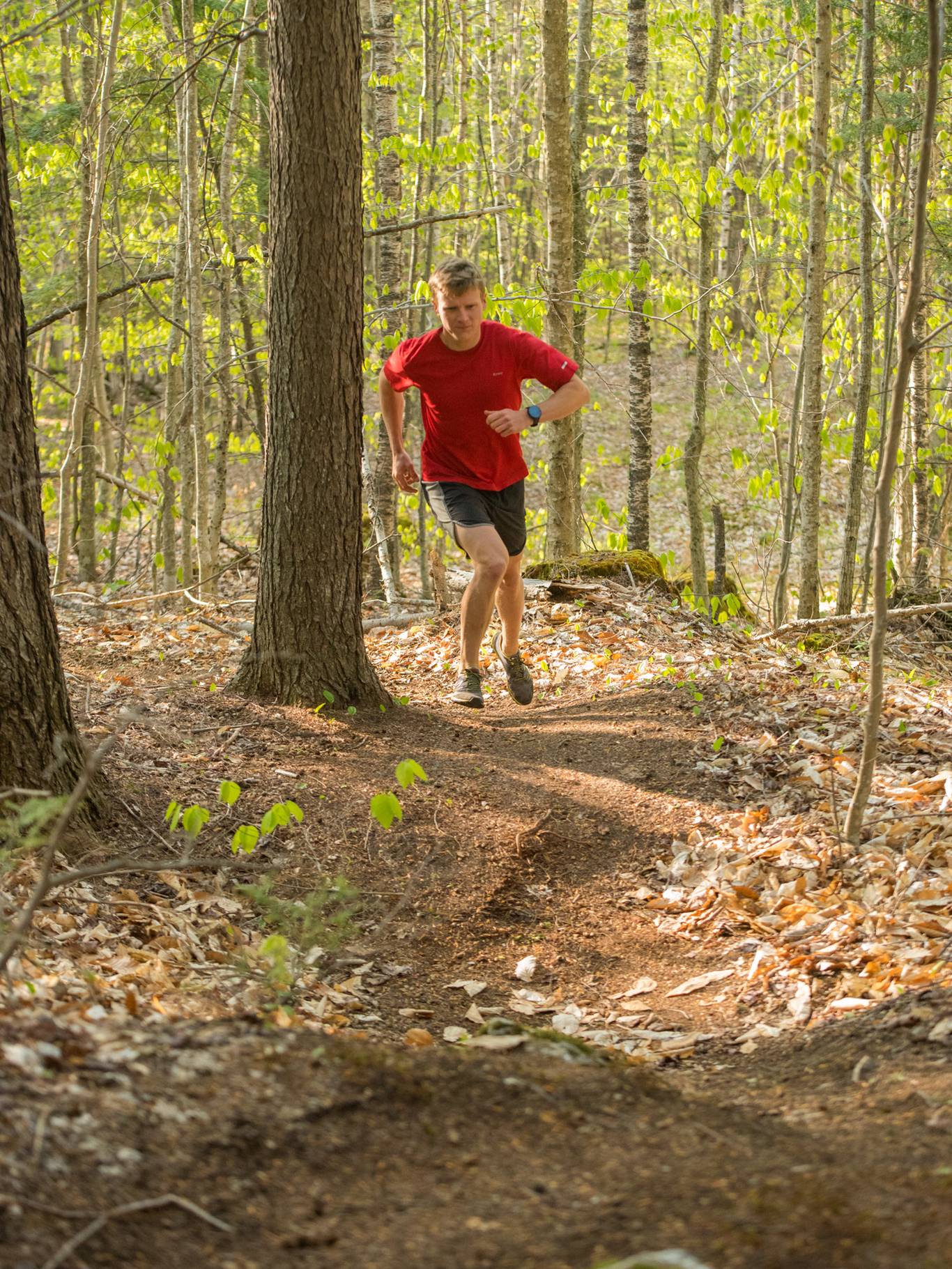 A hiker walking up a trail at Sunday River.