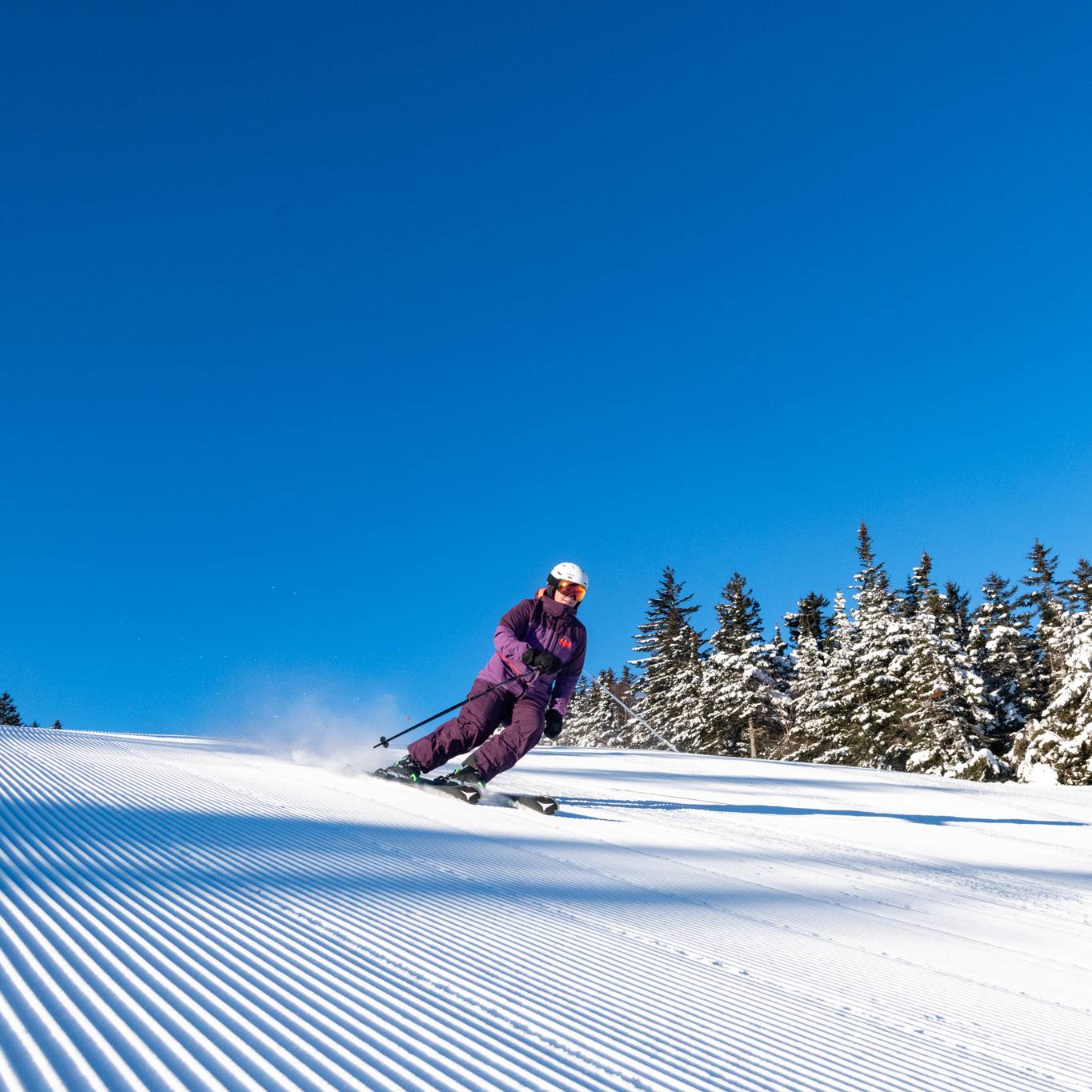 A woman in a purple kit skiing down a trail at Sunday River.