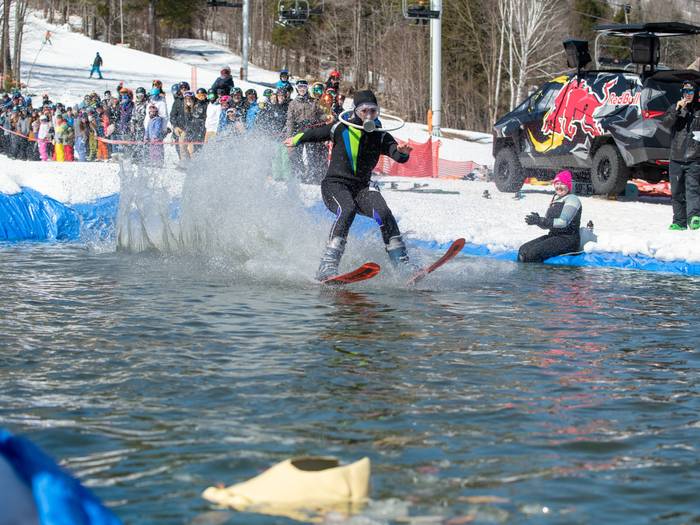 A pond skimmer wearing a scuba costume.