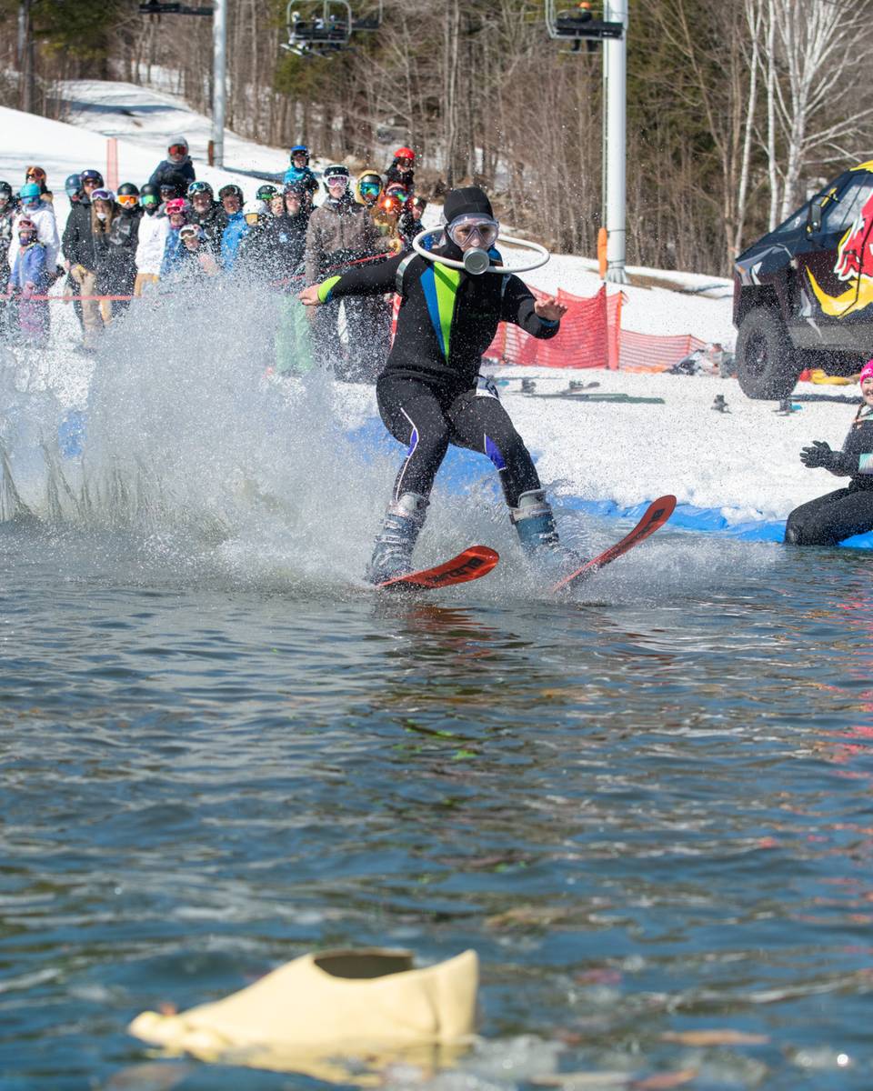 A pond skimmer wearing a scuba costume.