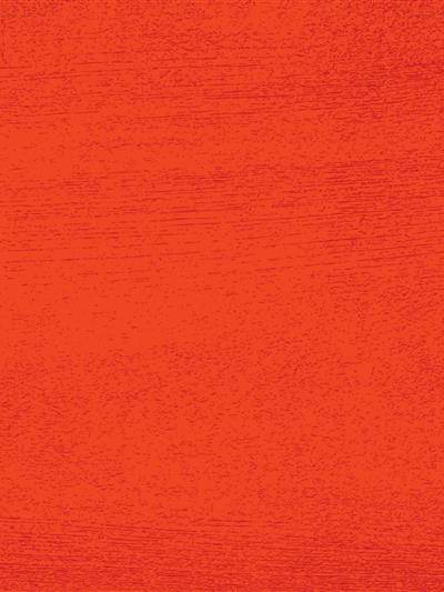 Ember logo texture for Sunday River.