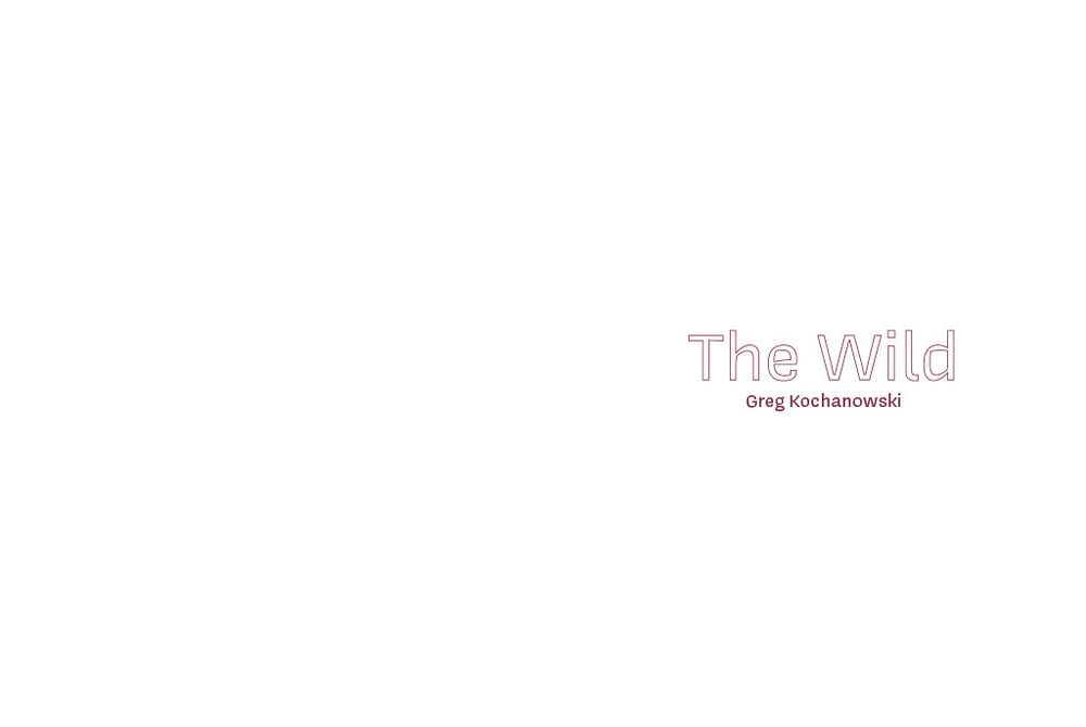 The Wild