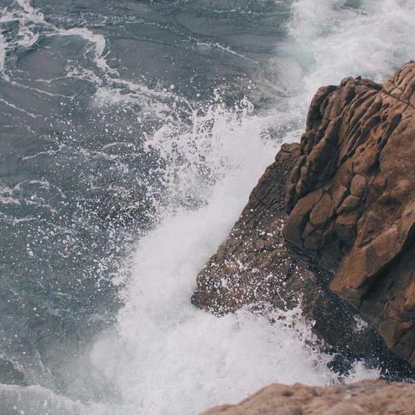 Compartint la passió per la música