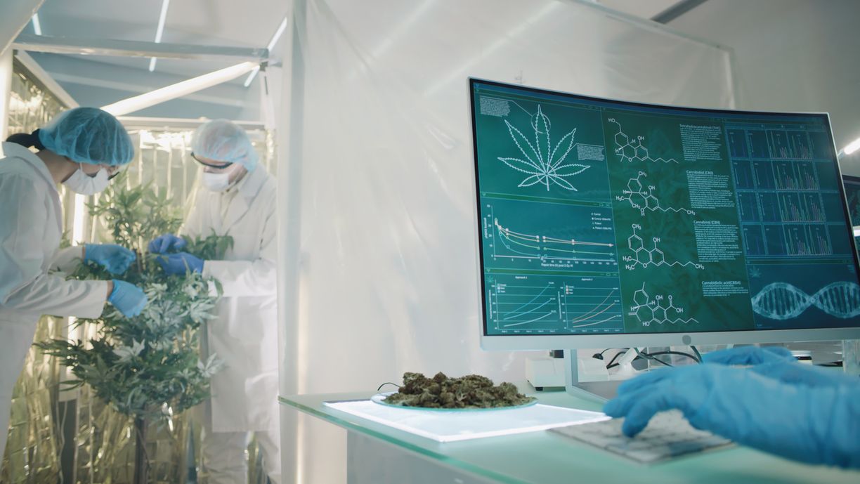 Bedeutung des Endocannabinoid-Systems