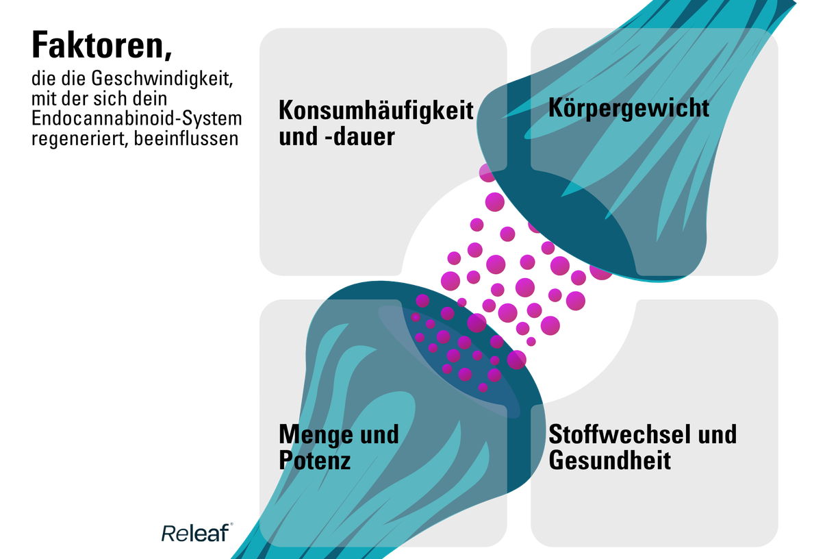 Individuelle Unterschiede & beeinflussende Faktoren