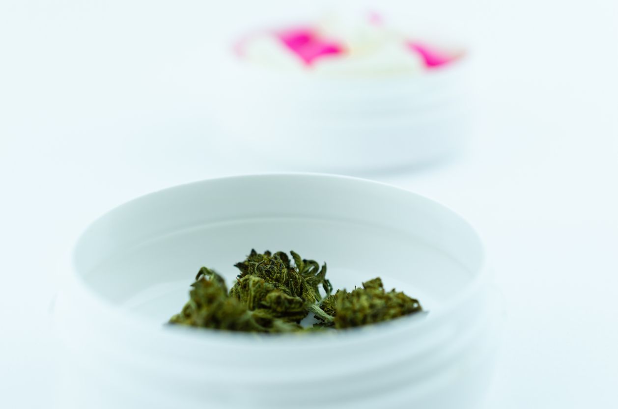 Grundlagen der Cannabis-Dosierung