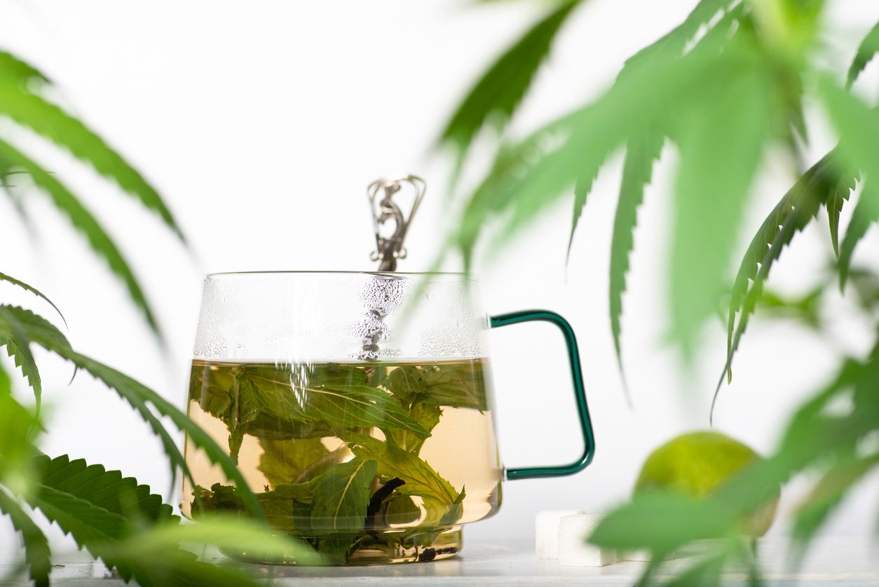 Alles über Cannabistee als Medizin inklusive Zubereitung & Wirkung