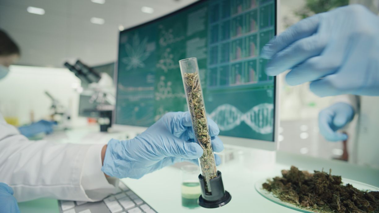 Was bedeutet THC-Nachweisbarkeit eigentlich?