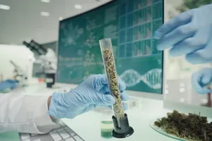 Cannabis bei Epilepsie: CBD als Anti-Epileptikum und Anfallskontrolle