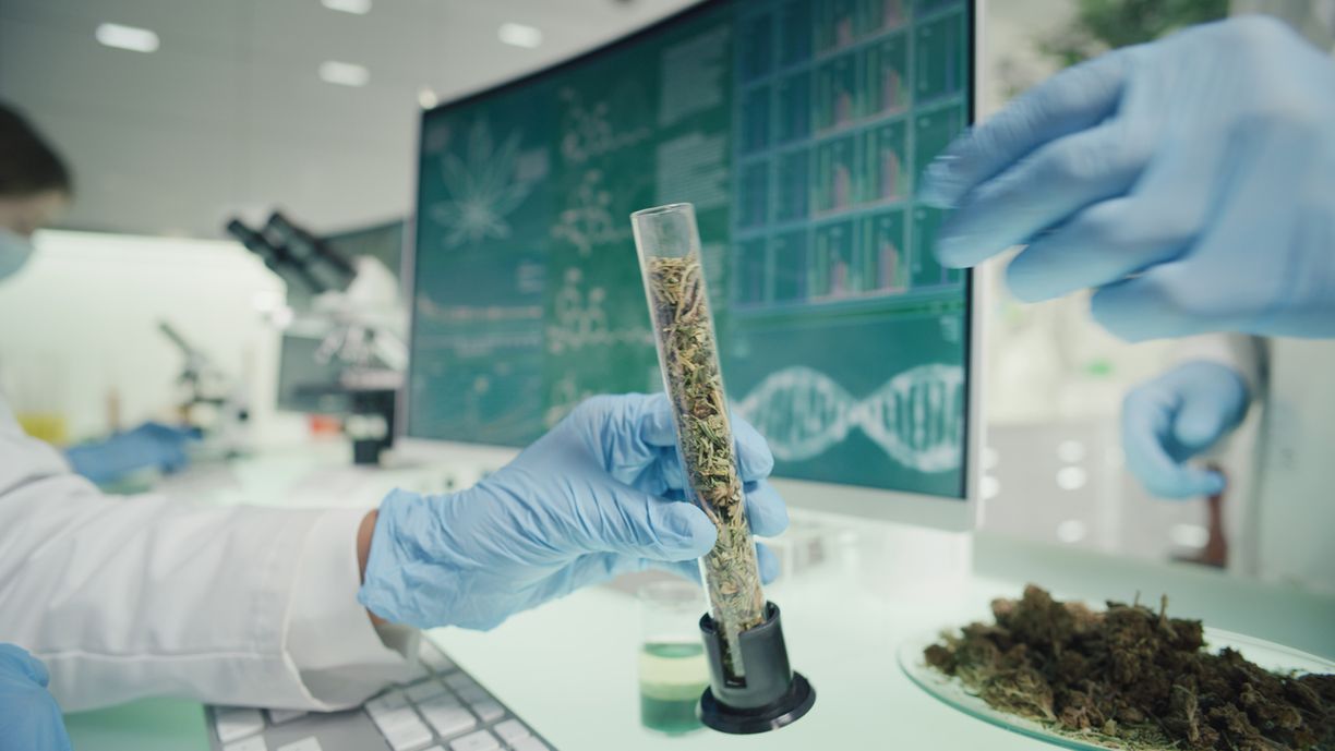 Was bedeutet THC-Nachweisbarkeit eigentlich?