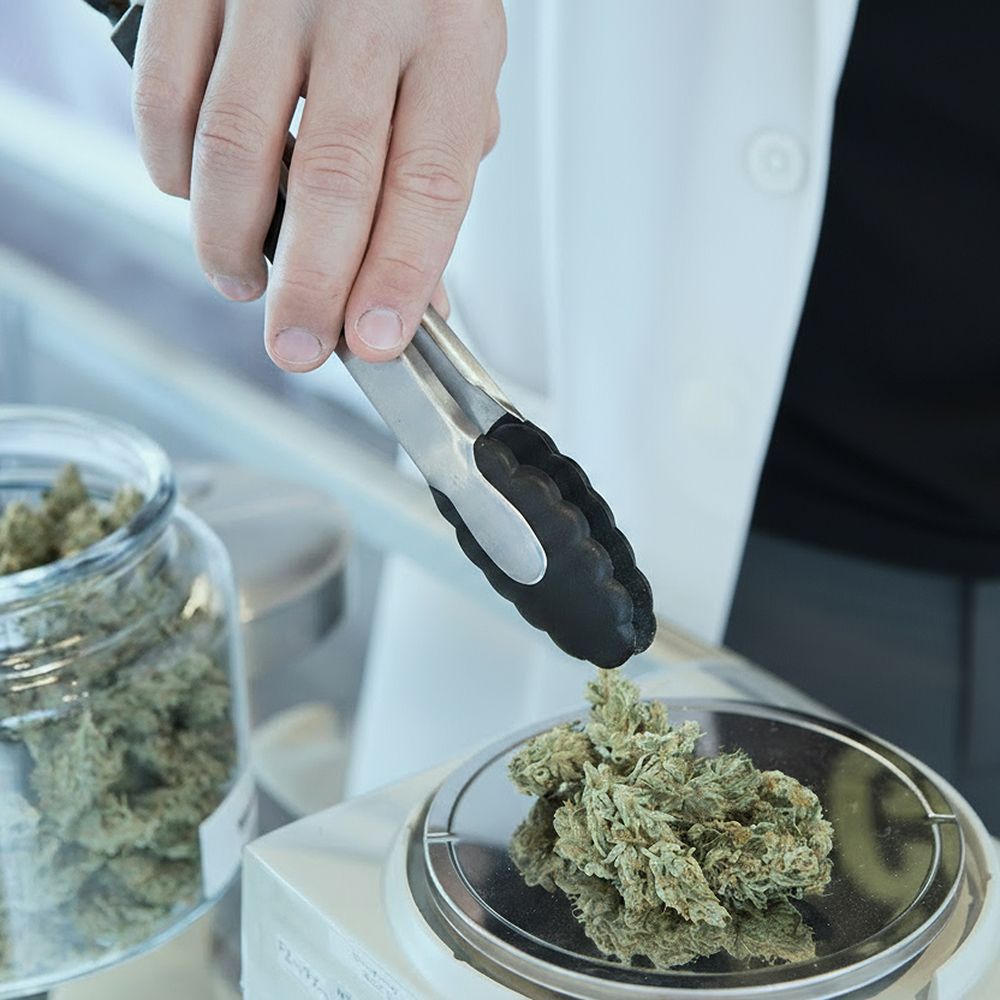 1. Dich erwarten über 100 Sorten