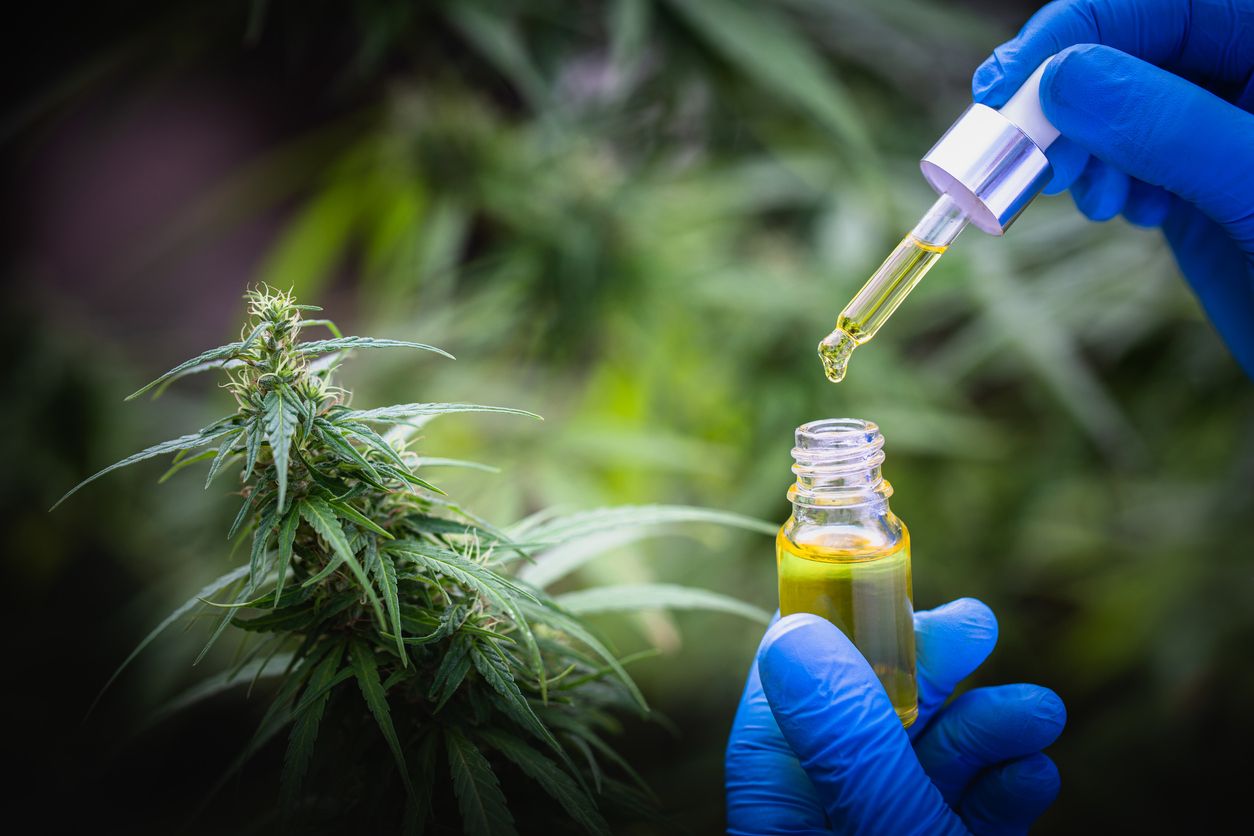 THC-Gehalt und Produktauswahl bei Releaf DE