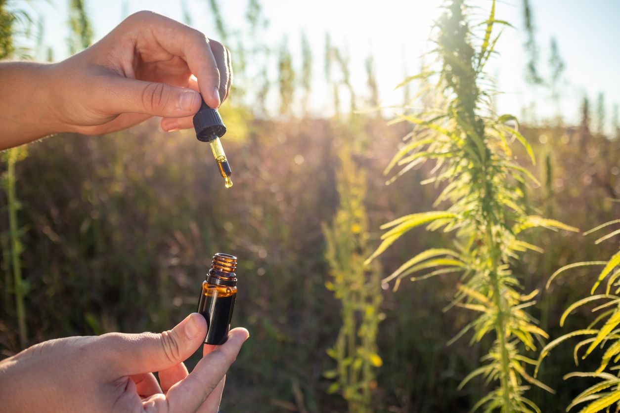 CBD-Öl aus der Drogerie oder medizinisches Cannabis: Wo liegt der Unterschied?