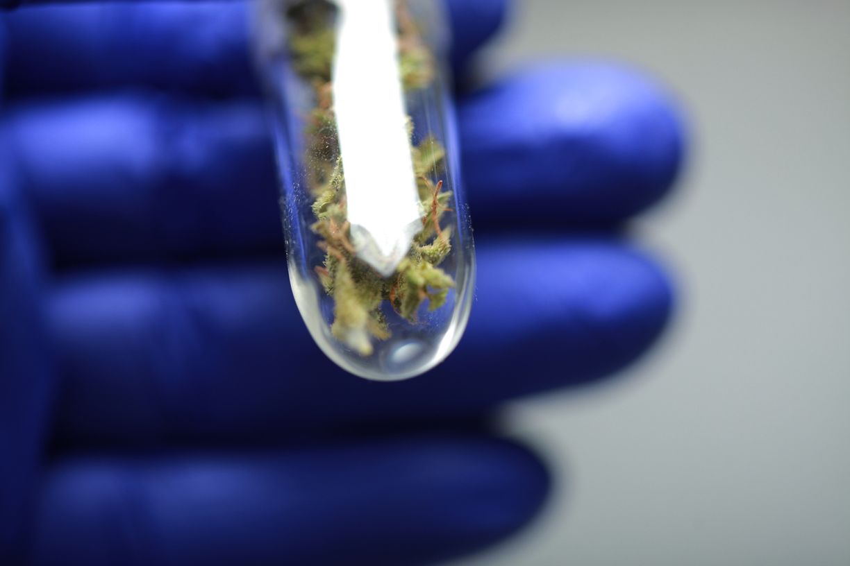 THC – Kleine Abkürzung, große Wirkung