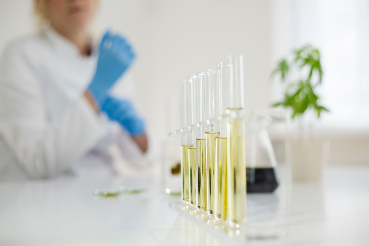 Was steckt hinter dem THC-Grenzwert