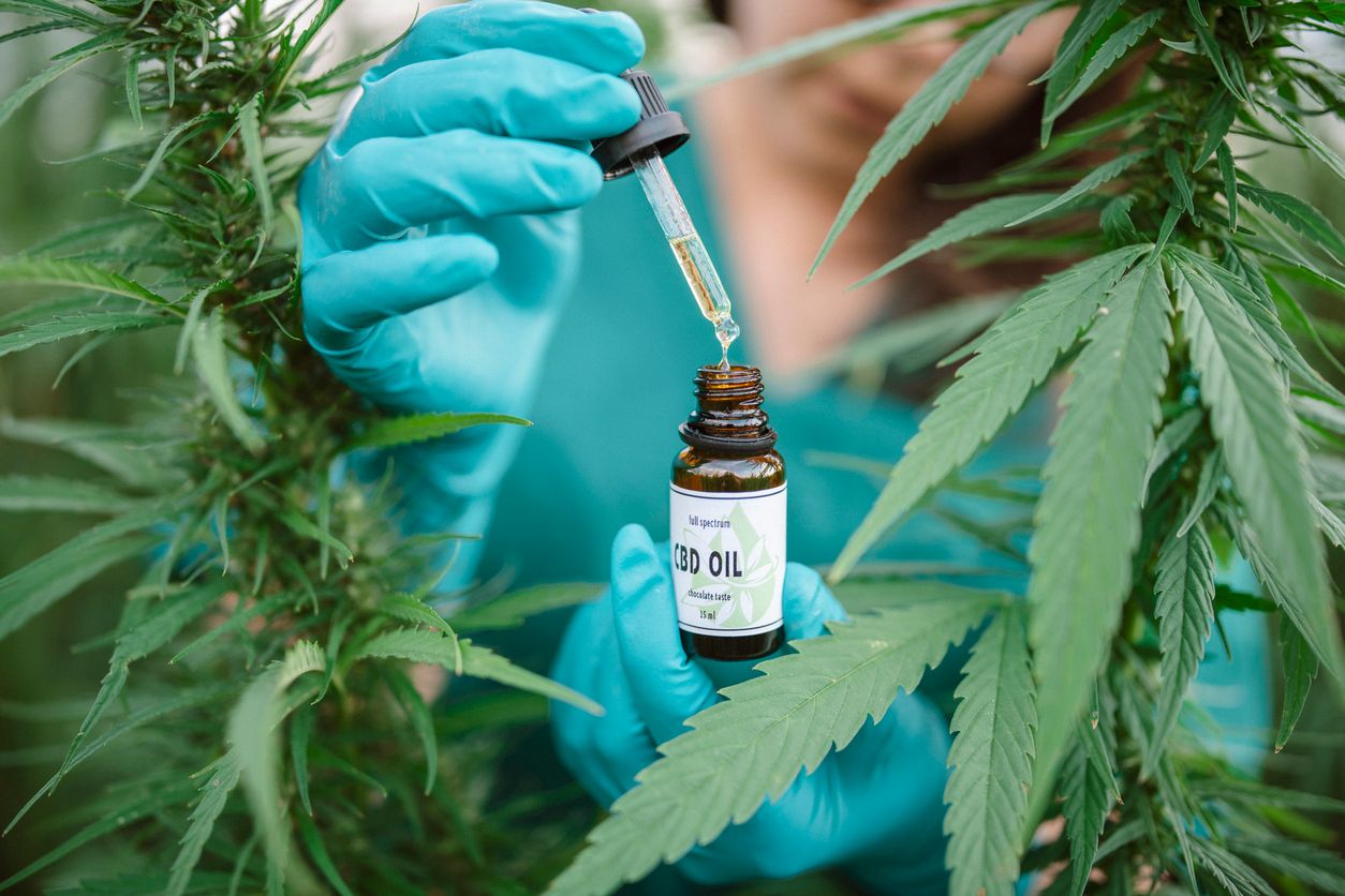 Arten von Cannabistropfen