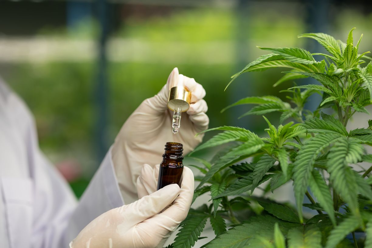 Rechtliche Lage von THC-Öl in Deutschland 