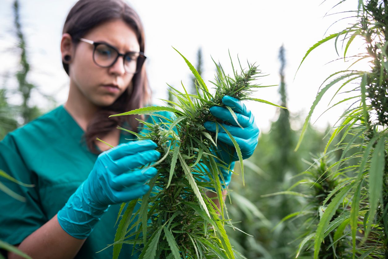 CBD bei Epilepsie – Durchbruch in der Therapie