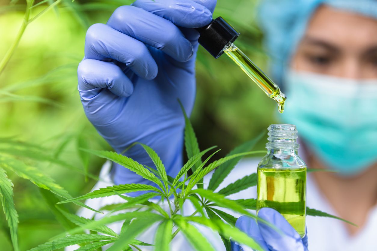 Terpenprofile und medizinische Anwendung