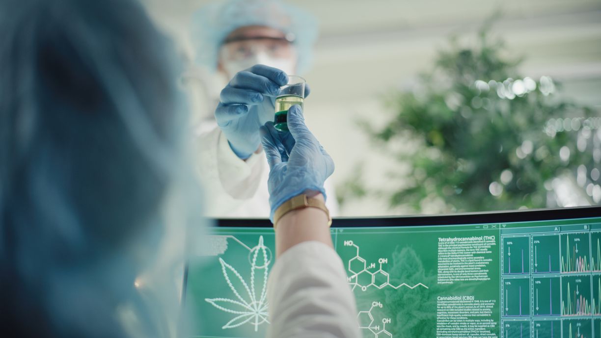 Die wichtigsten Wirkstoffe THC, CBD und weitere Cannabinoide