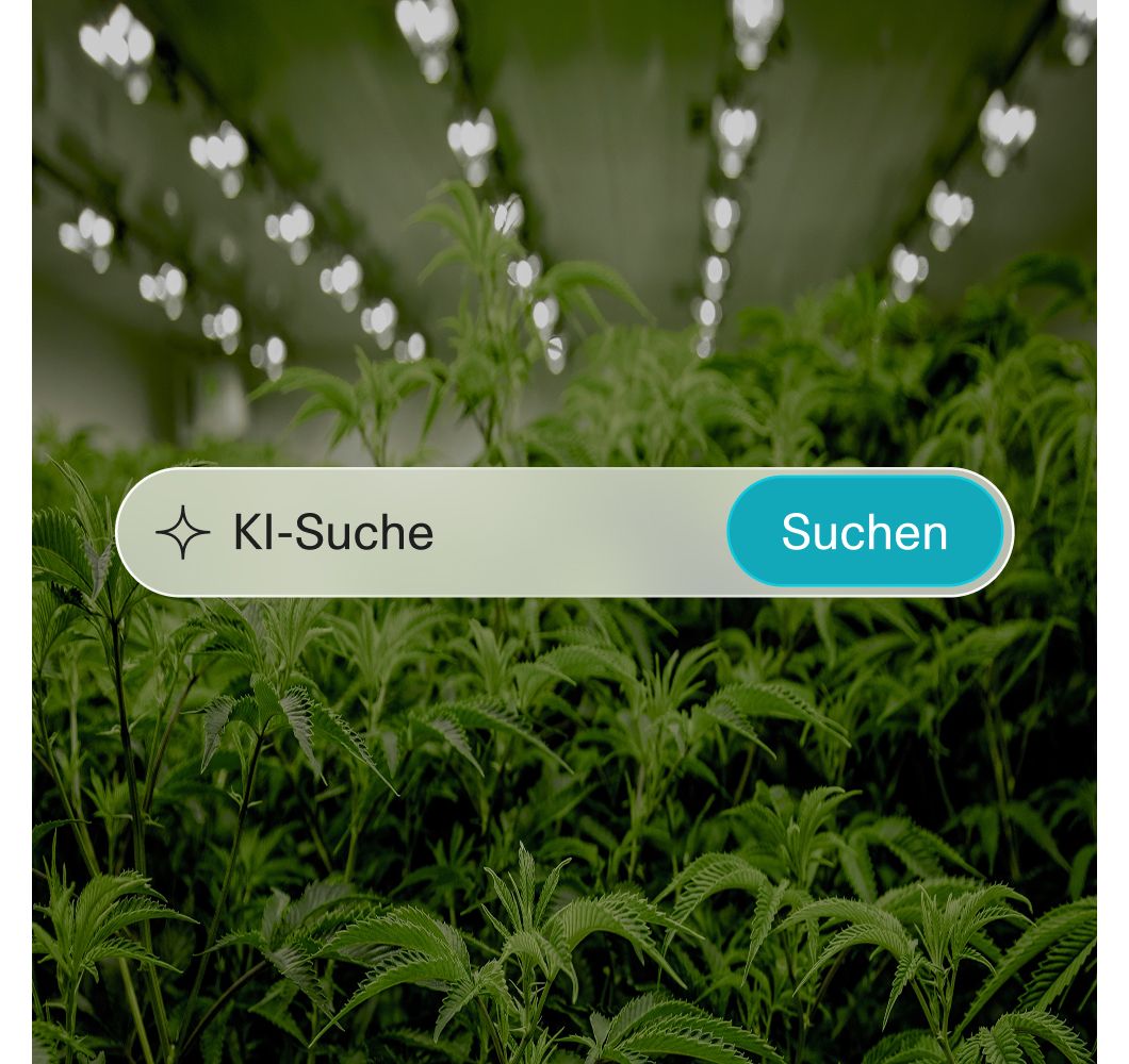 2. Nutze unsere intelligente KI-Suche