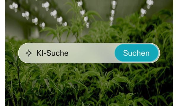 2. Nutze unsere intelligente KI-Suche