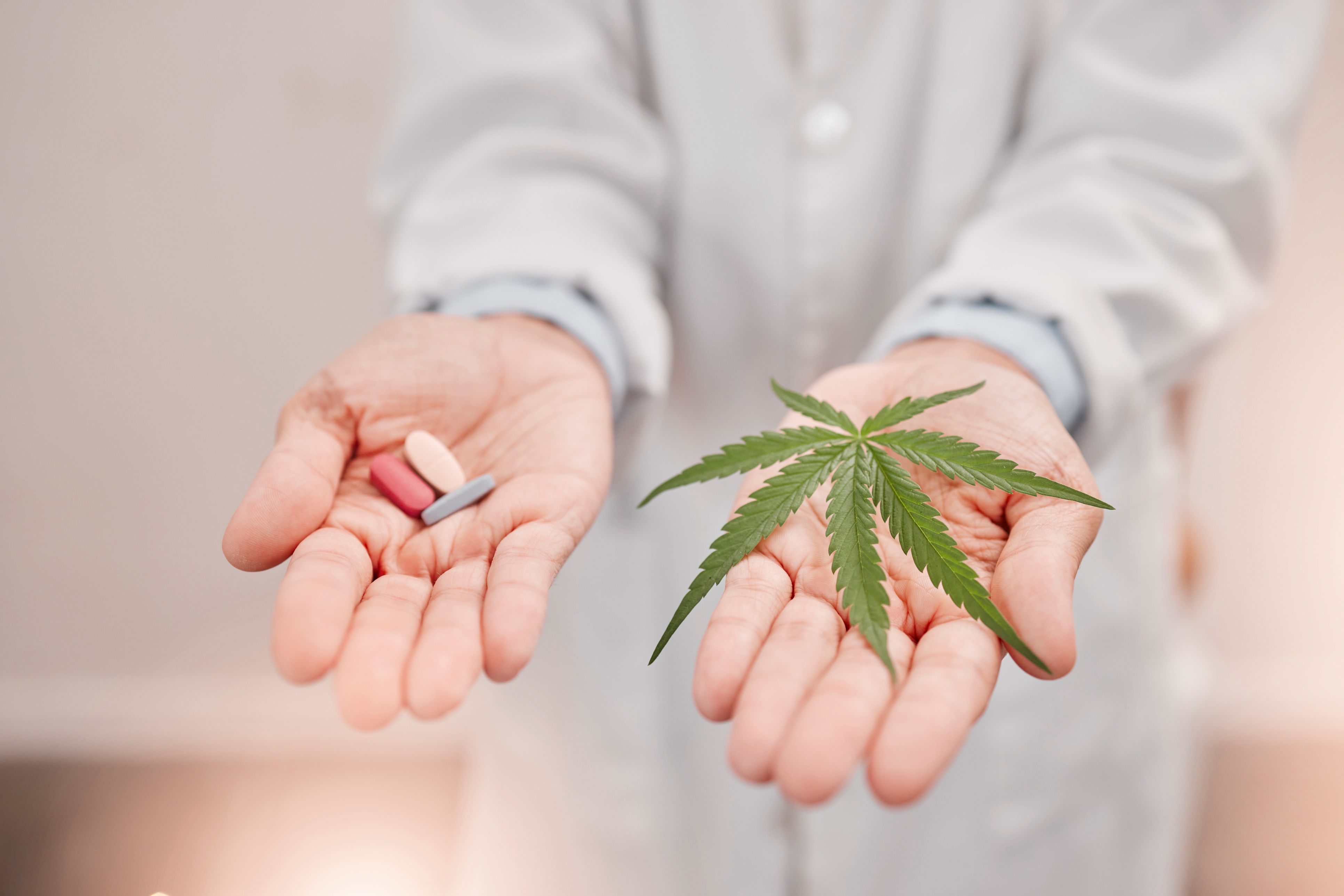 Behandlung mit medizinischem Cannabis bei Releaf