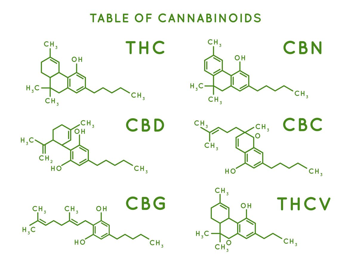 Cannabinoide: Die aktiven Wirkstoffe
