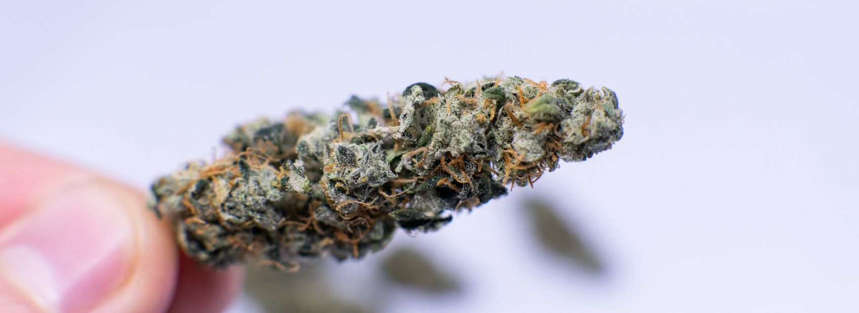CBD-Dosierung: Start low, go slow