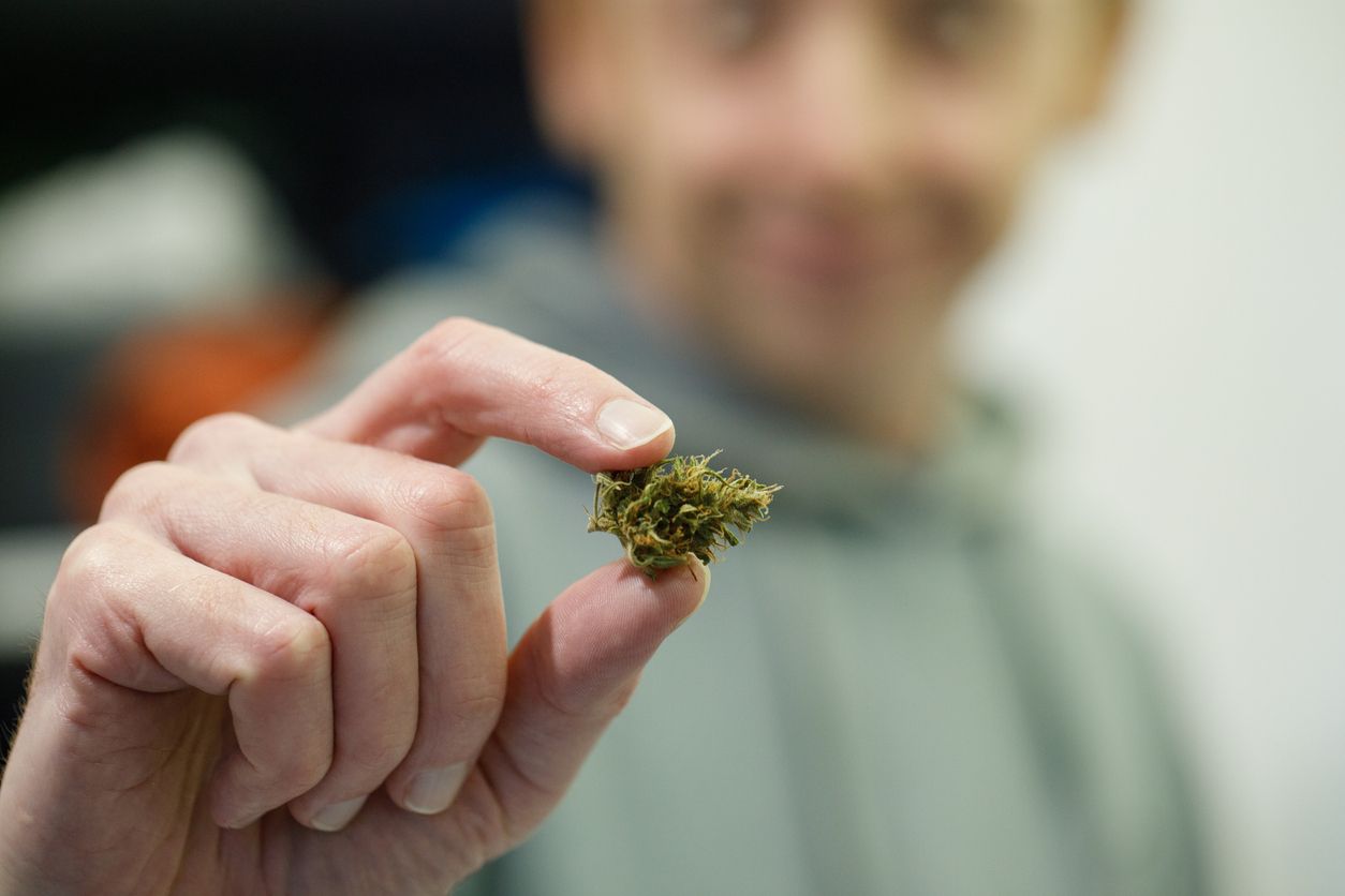Nach dem Rezept: Medizinalcannabis richtig anwenden