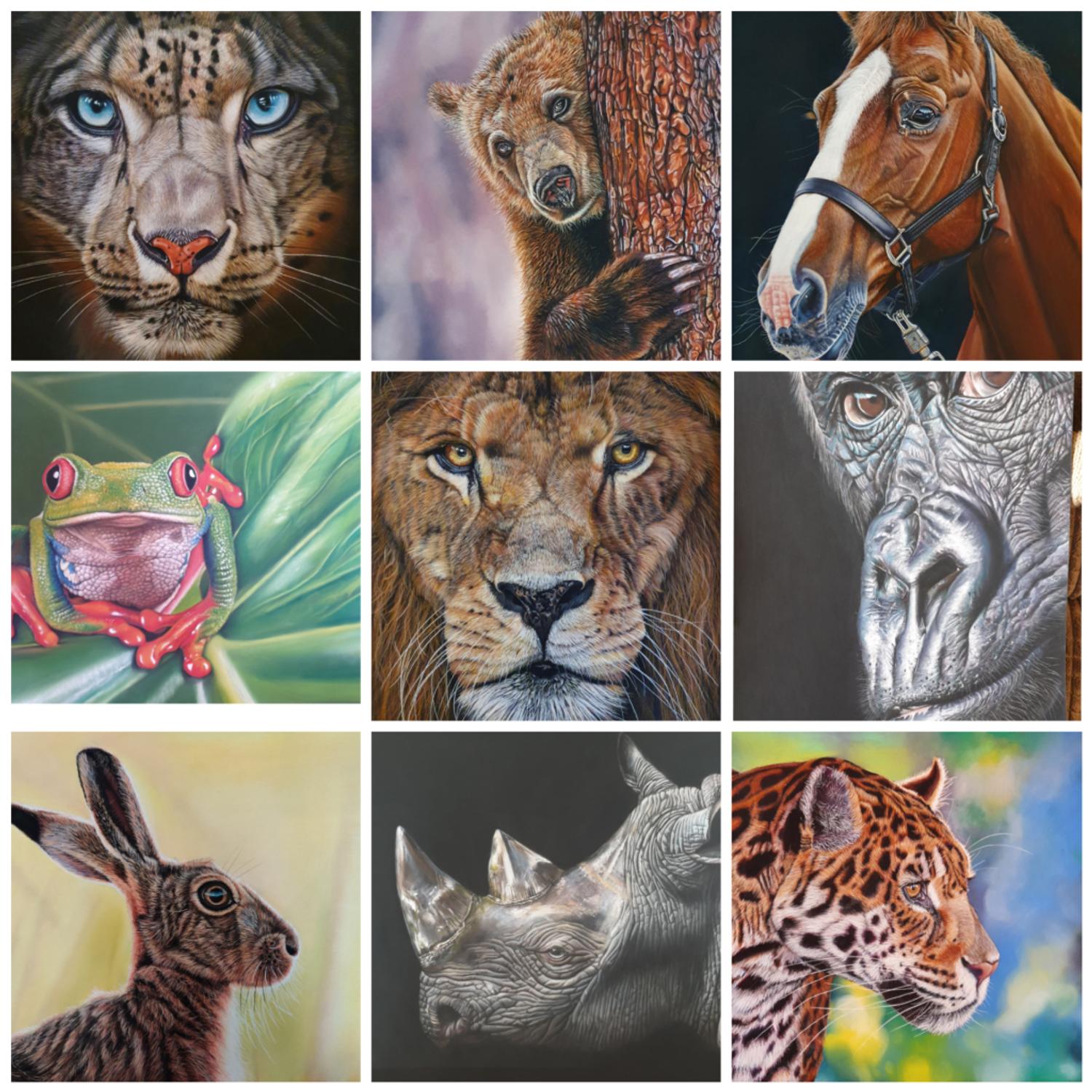 A few of my more recent drawings using pastel pencil.