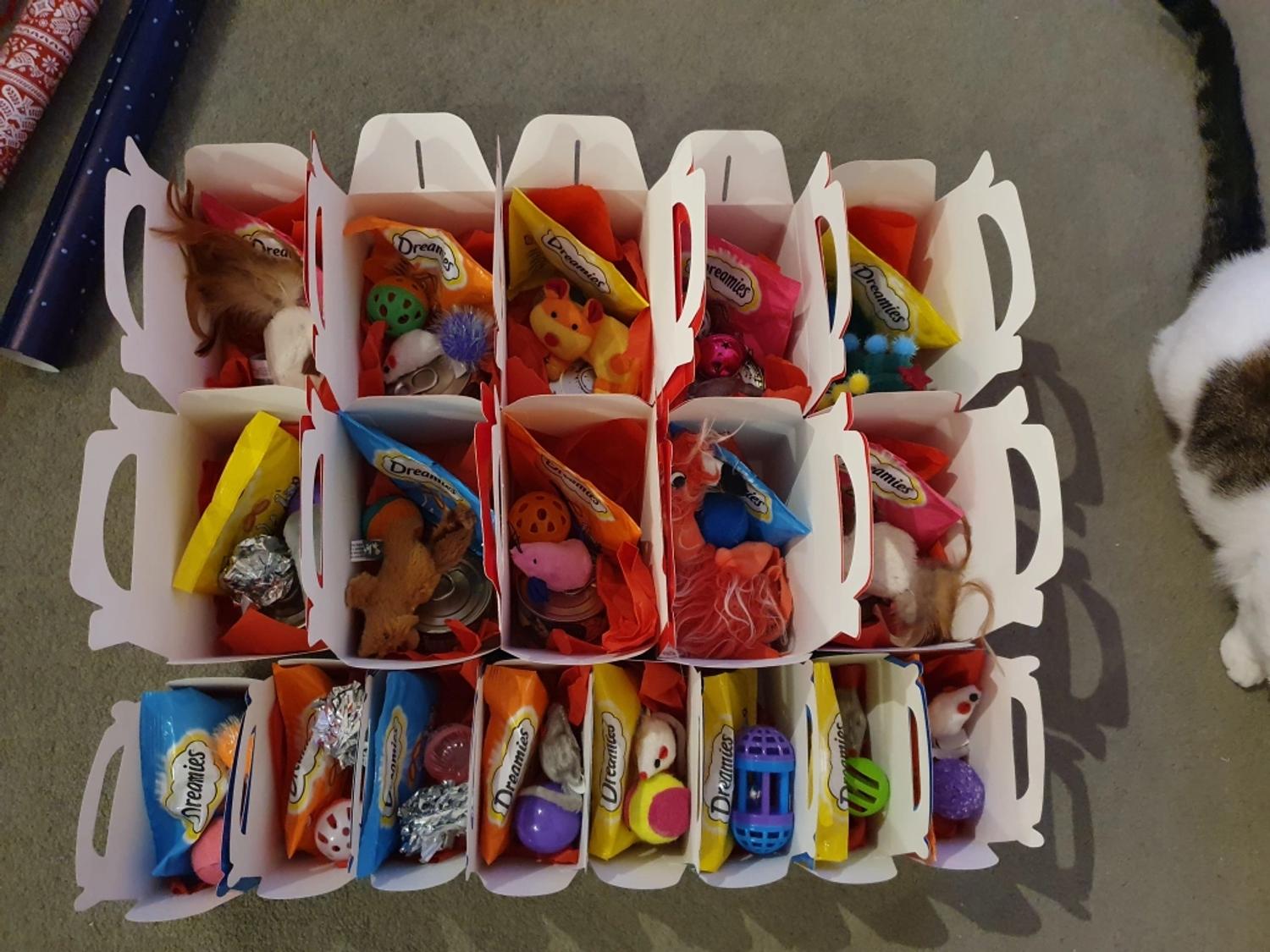 Boxes all ready for the puddy cats 🐈