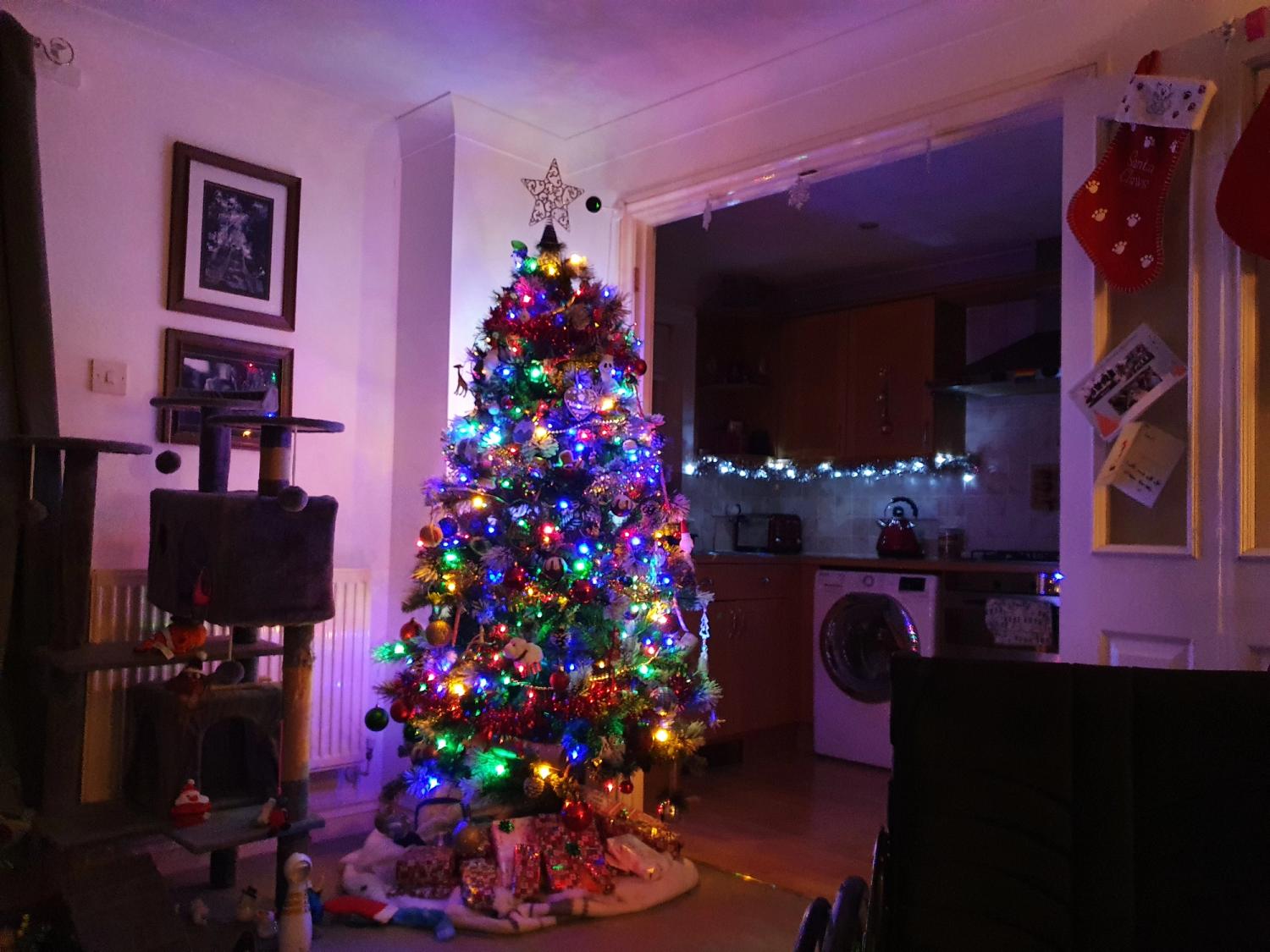 My tree, which I love, and my beautiful snowflake made by my good friend Maggie, next to our dedication to our boy, Winkeypoo ❤